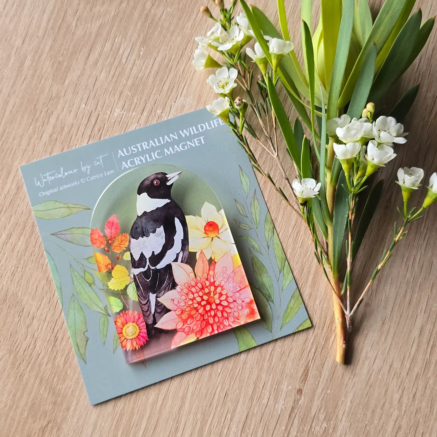 Australian Bird Magpie Magnet