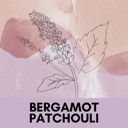 Bergamot Patchouli