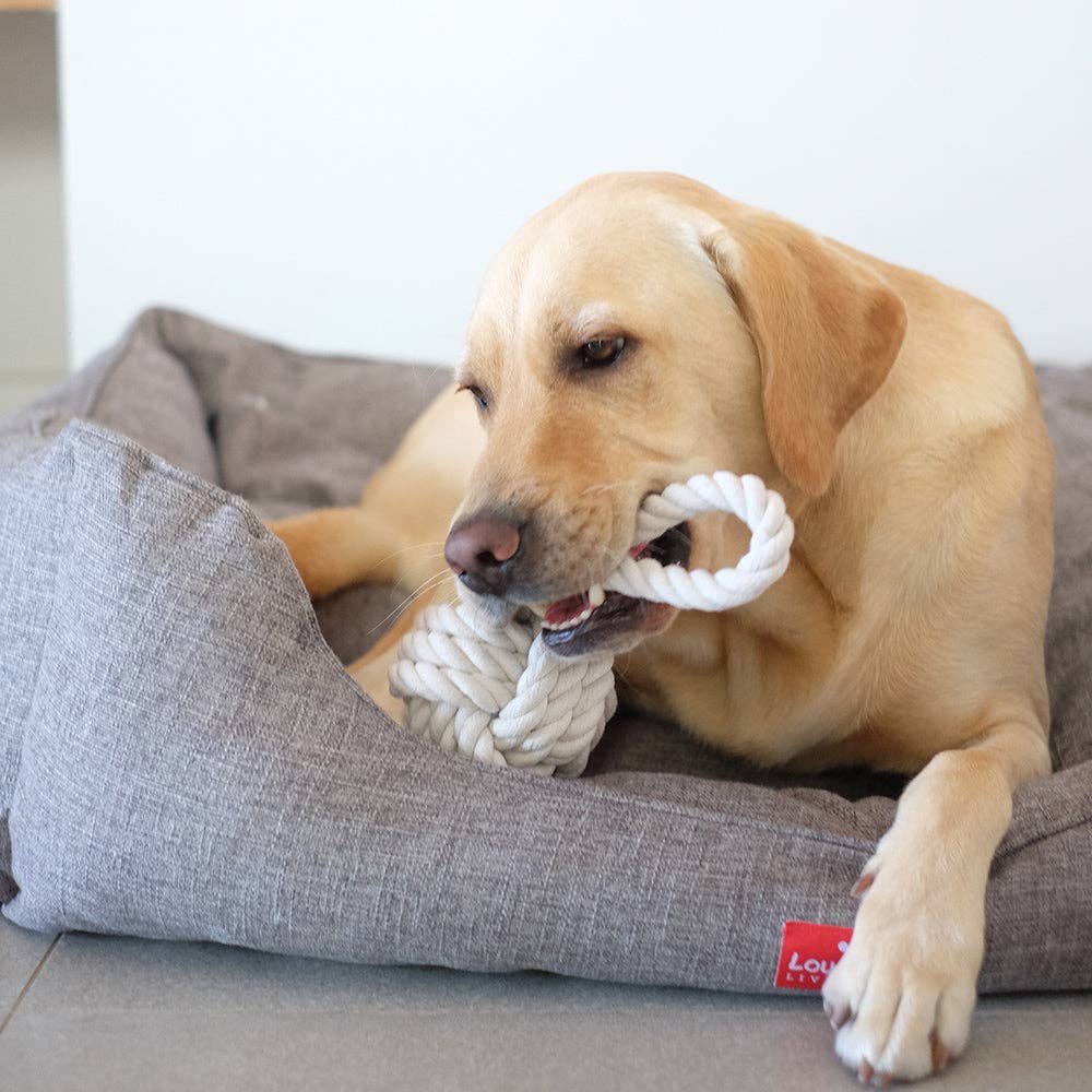 Living Textiles - Louie Living  Tug Rope - Medium