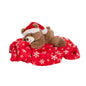 Koch & Co - Teddy Bear Alfie Gift Pack Red
