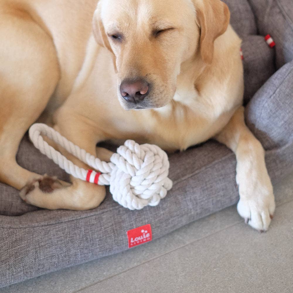 Living Textiles - Louie Living  Tug Rope - Medium