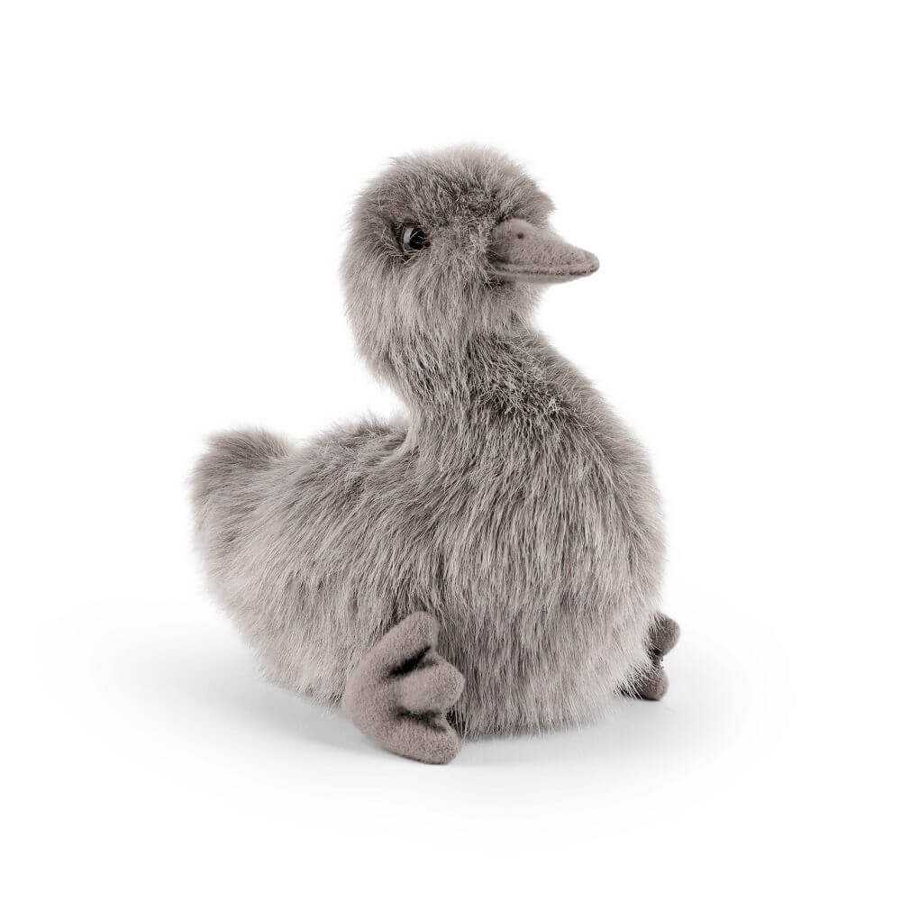 Living Nature - Swan Cygnet image 0