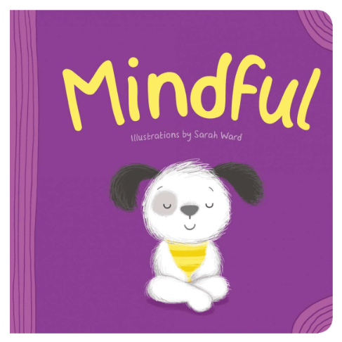 Resilience Series - Mindful - Board Book - Lake Press image 0