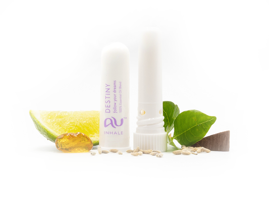 Abundance Unlimited - Inhale: Destiny
