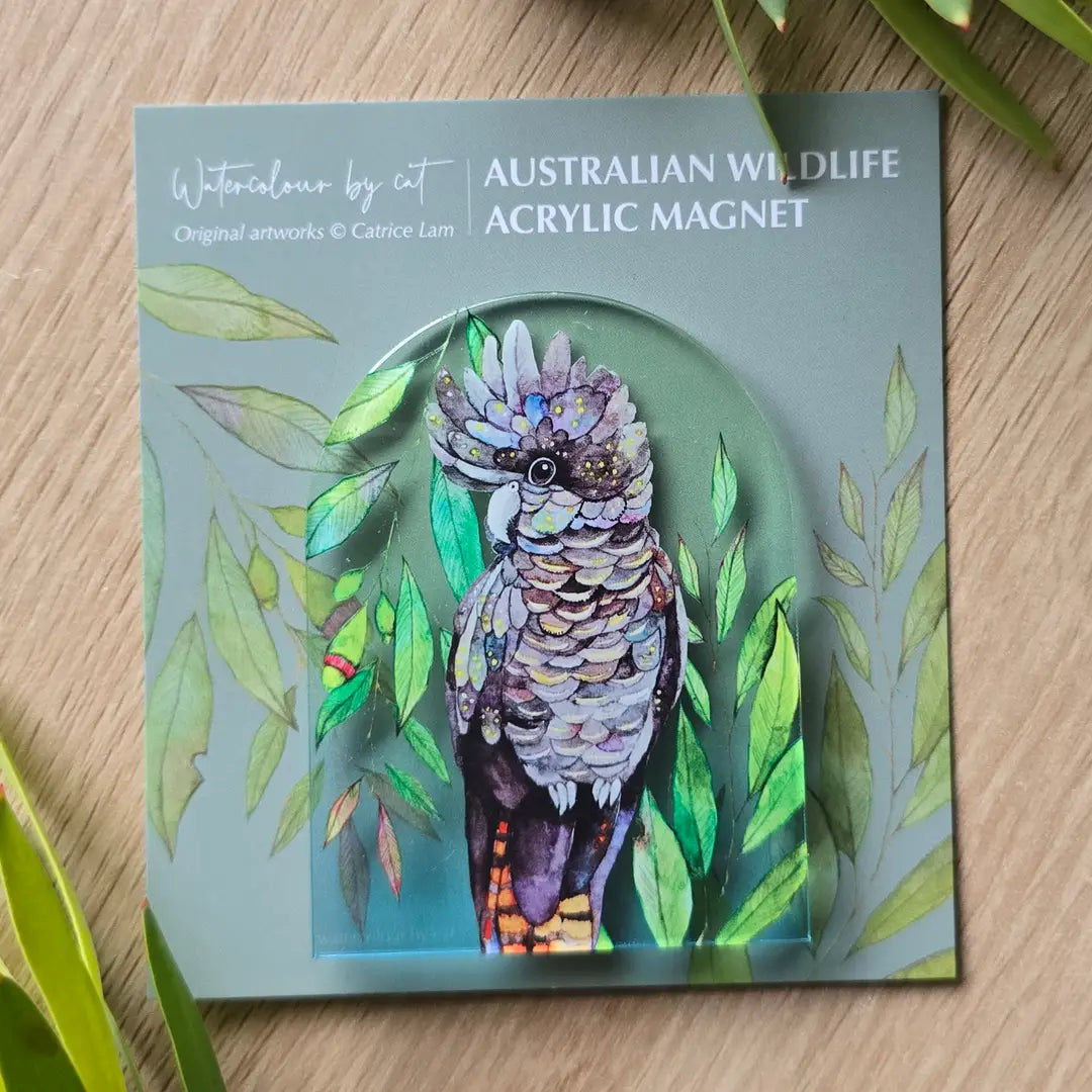 Australian Bird Black Cockatoo Magnet