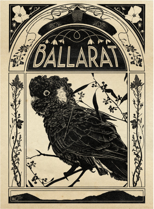 Hidden Lanes - Ballarat Cockatoo Magnet