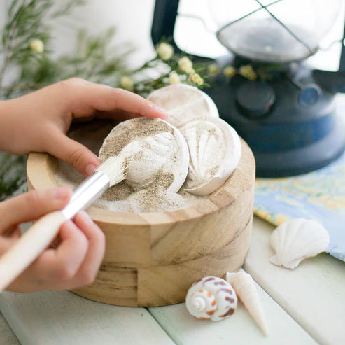 Poppy & Daisy Designs - Fun Fossils Kit image 0