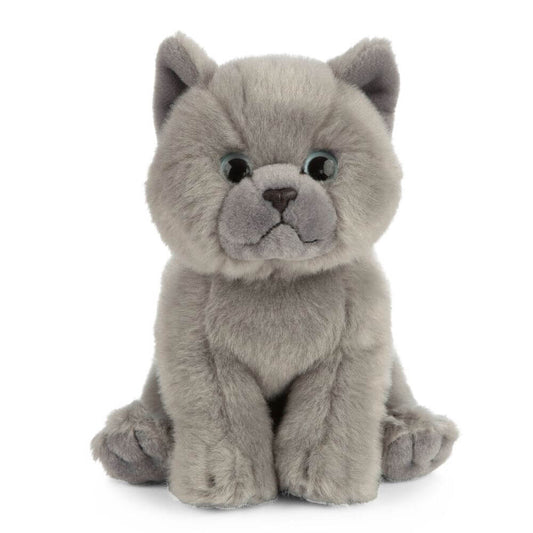 Living Nature - British Grey Shorthair Kitten image 0