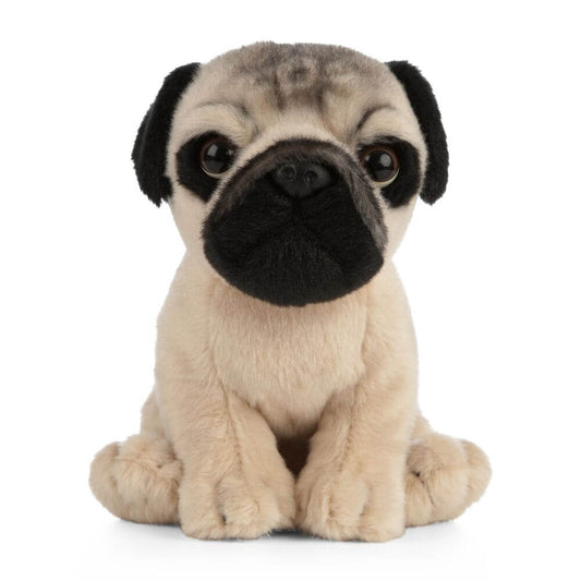 Living Nature - Pug Puppy image 0