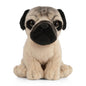 Living Nature - Pug Puppy image 0