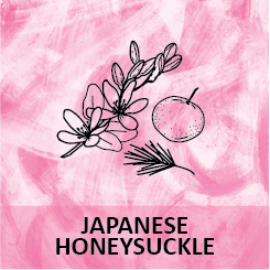 JAPANESE HONEYSUCKLE CANDLE